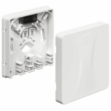 4252001 - Optical termination outlet (OTO), surface-mounted